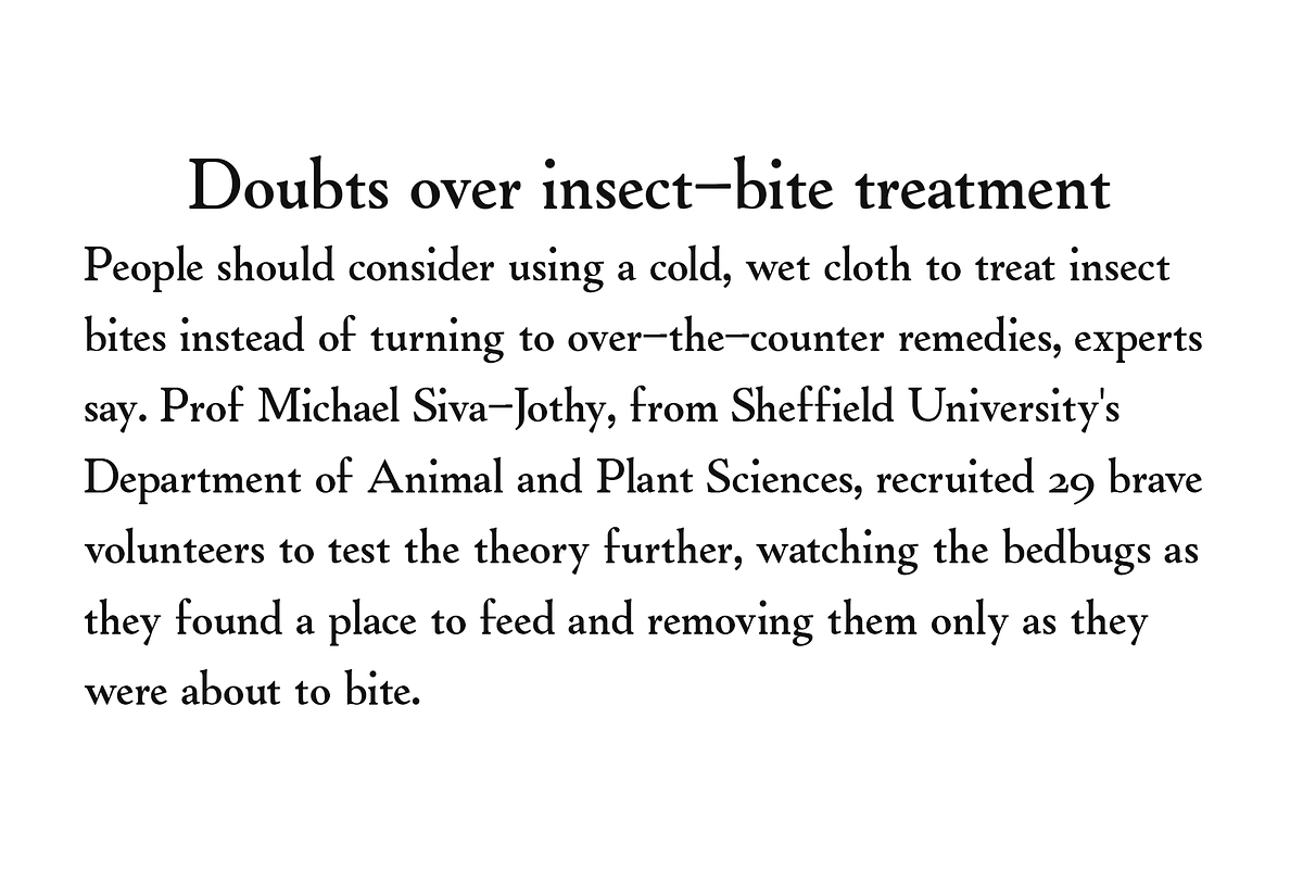 Qela v1, a Serif Font by RNDI Type Foundry (Photo 6 of 8)