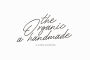 La Planca de Cafetaria | Font Duo, a Font by Jolicia Type (Thumbnail 13 of 15)