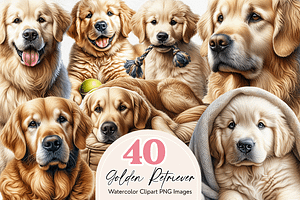 Golden Retriever Clipart Bundle, an Animal Illustration by Bijou Bay