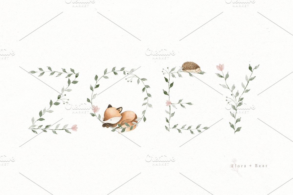 The Woodland Alphabet, an Animal Illustration by Flora+Bear (Photo 13 of 16)