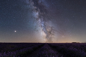 Milky Way over lavanda field