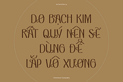 VEN - Display Typeface, a Font by Dat Do (Thumbnail 19 of 25)
