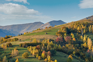 Autumn morning Carpathian Mountains calm picturesque scene, Ukra, a Nature Photo by YuriyB