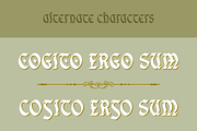 Eachtra | Modern Blackletter Font, a Blackletter Font by Twicolabs Fontdation (Thumbnail 6 of 8)