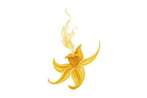 Vanilla flower. Realistic vector, a Food Illustration by the8monkey