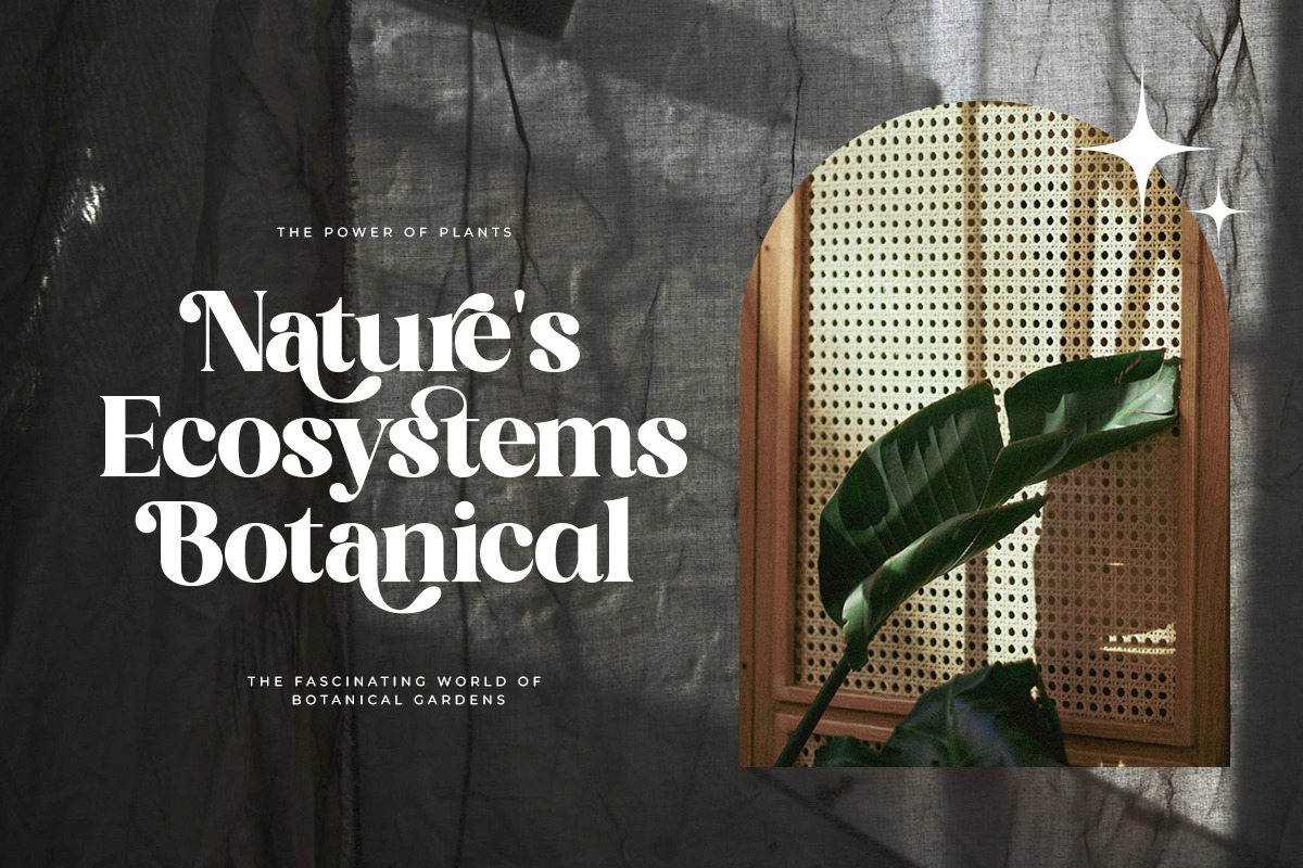 Kind Avenue Font Free Download - Serif Fonts Preview 2026