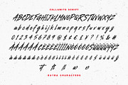 Callamite Combo Dynamic Duo Typeface, a Sans Serif Font by Maulana Creative (Thumbnail 7 of 8)