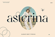 Elegant Ligature Serif Font, a Serif Font by Bekeen.co (Thumbnail 1 of 10)