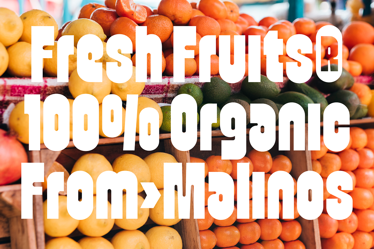 Veggie - Bold Font, a Sans Serif Font by limitype (Photo 9 of 13)