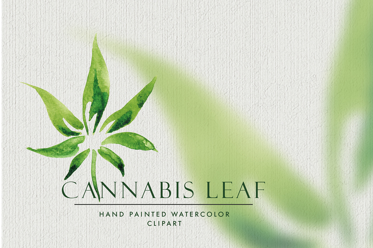 Watercolor Cannabis Leaf, an Object Graphic by Jeanina Vlad (Photo 1 of 3)
