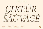 CS Rollent Pixel, a Serif Font by Craft Supply Co. (Thumbnail 7 of 8)