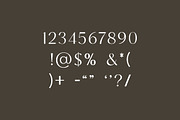 Facelio Modern Stylish Sans Serif, a Sans Serif Font by UICreative (Thumbnail 9 of 13)