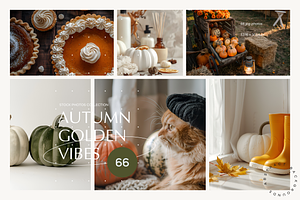 Autumn Golden Vibes, a Nature Photo by Lumeno