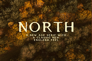 North Serif Font from By Hand Design, a Handwritten Font by By Hand Designs (Thumbnail 6 of 8)