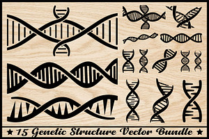 Genetic Structure Vector Bundle, an Illustration by yasushie