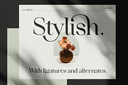 Idealist Serif, a Serif Font by Nicky Laatz (Thumbnail 4 of 34)