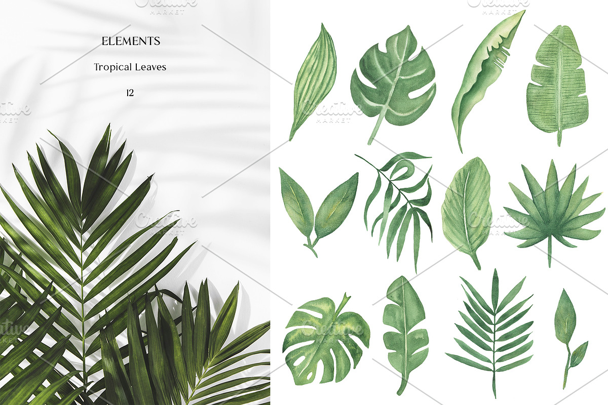 Watercolor Tropical Leaves, a Decorative Illustration by MayaNavits (Photo 2 of 12)