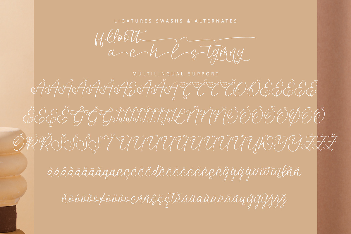 Amorfa Brimos, a Script Font by Integritype Studio (Photo 14 of 15)