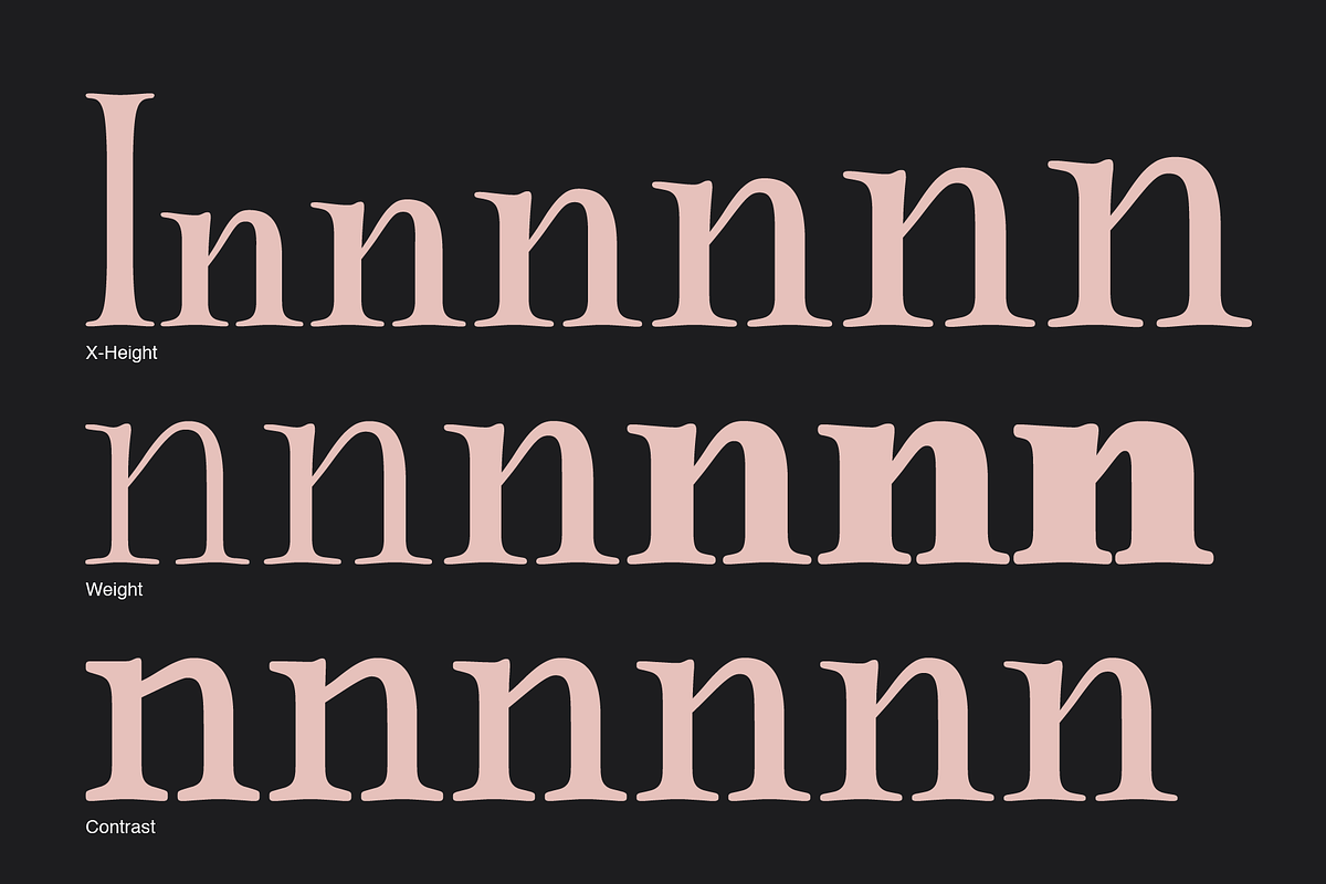 Quietism Variable font, a Serif Font by Michael Rafailyk (Photo 2 of 9)