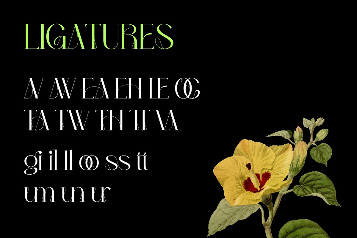 Bumerang - Display Serif, a Serif Font by Nirmana Visual (Photo 5 of 15)