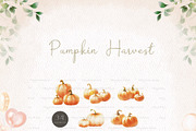 Pumpkin Harvest, an Animal Illustration by heyiamalice (Thumbnail 6 of 14)