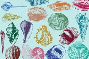 Vintage Sea Shell Photoshop Brushes