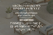 California Paradise Modern Serif, a Serif Font by Storytype Studio (Thumbnail 13 of 15)