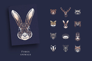 Animal Illustrations Bundle 1