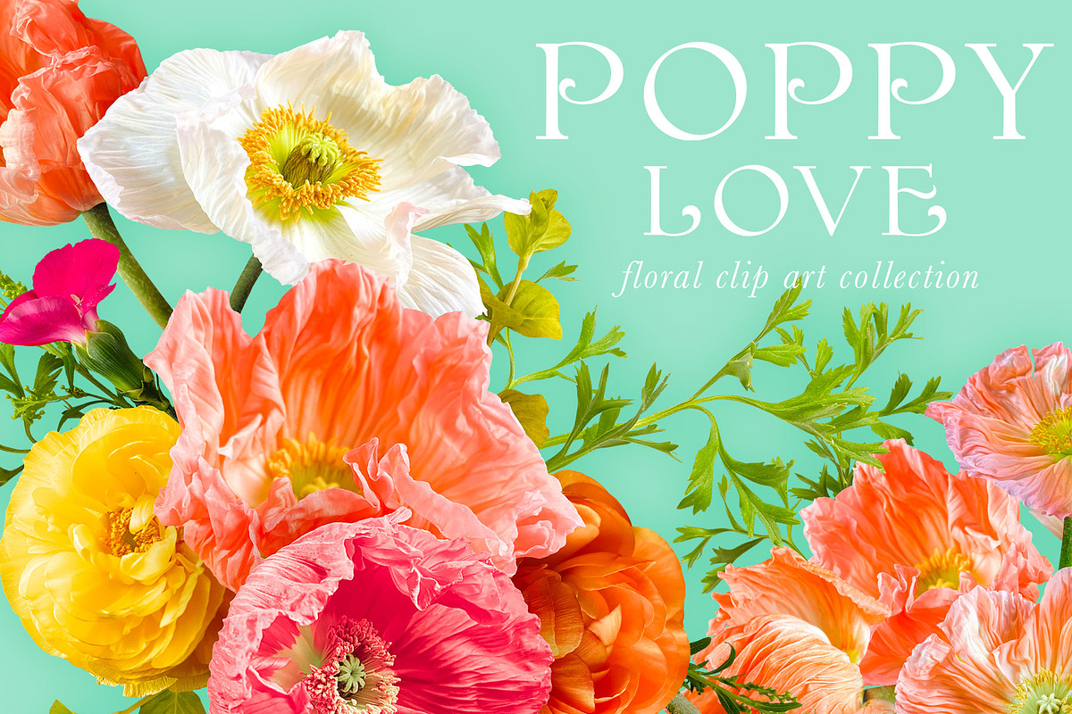 Poppy Love Floral Clip Art, an Object Graphic by Eclectic Anthology (Photo 18 of 18)