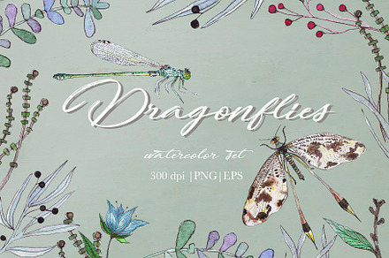 DRAGONFLIES. Watercolor clipart