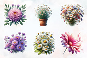 Daisy Flower Watercolor Cliparts, an Illustration by RobertsArt (Thumbnail 5 of 7)