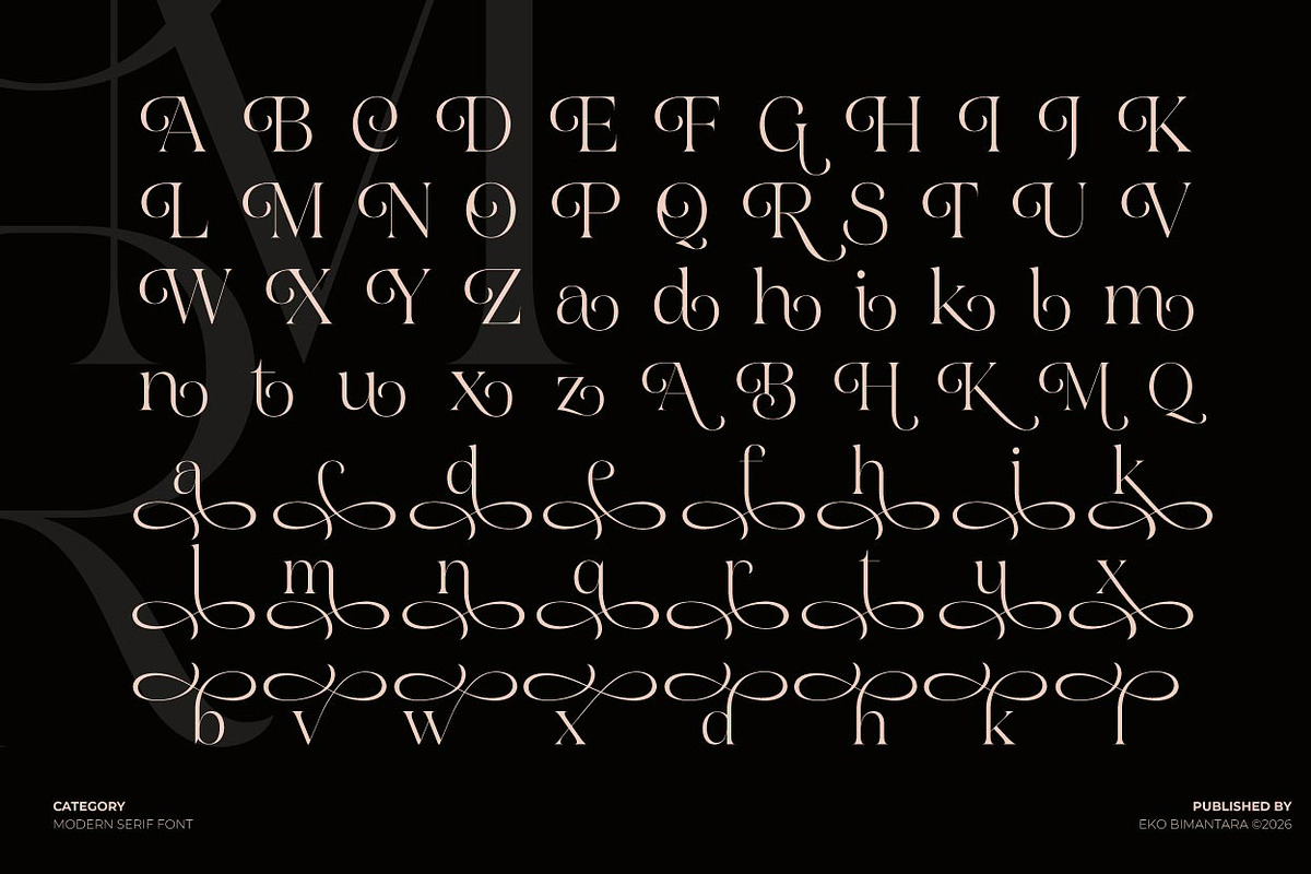 Austerlane; Display Serif Font, a Script Font by Eko Bimantara (Photo 10 of 11)