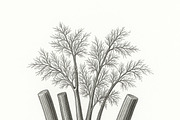 20 Botanical Vegetables Vintage Ink, a Food Illustration by Virgo Studio (Thumbnail 4 of 8)