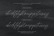 South Glow | Casual Chic Calligraphy, a Script Font by Pink Coffie (Thumbnail 14 of 16)