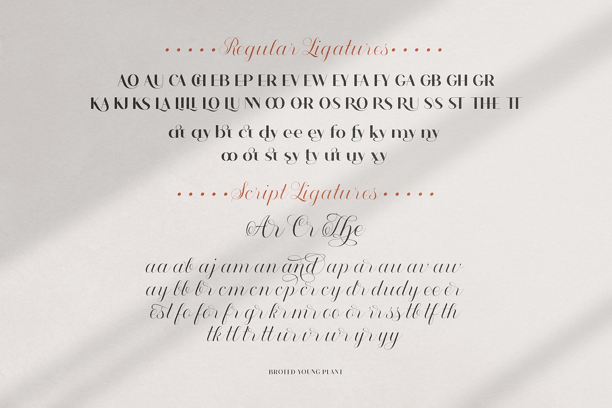 Broted Young Plant Font Duo, a Sans Serif Font by alit design (Photo 11 of 20)