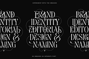 Everline - Luxury Serif Font Family, a Serif Font by VP Fonts (Thumbnail 18 of 22)