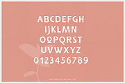 Vegan | sans serif display font, a Sans Serif Font by RARY (Thumbnail 2 of 5)