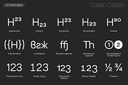 TT Turns, a Sans Serif Font by TypeType (Thumbnail 13 of 26)