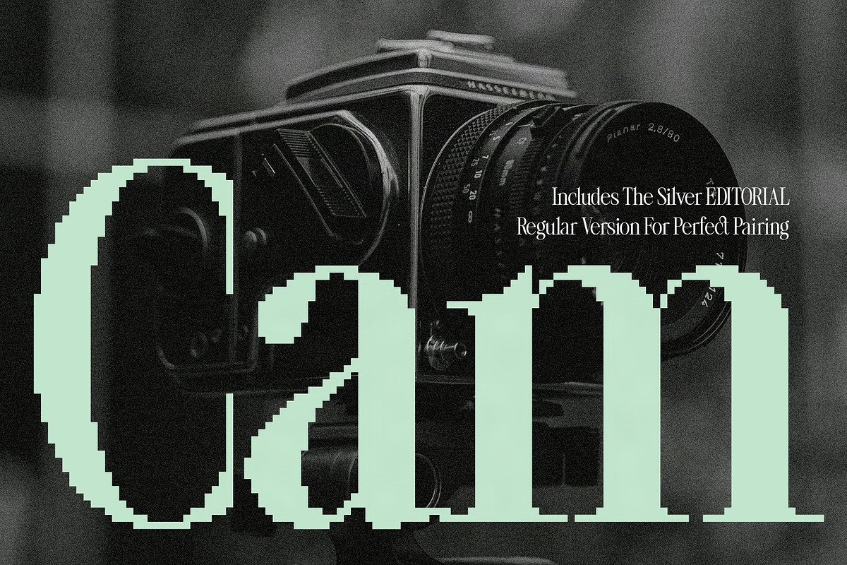 The Silver Editorial Pixel Version, a Serif Font by SilverStag Type Foundry (Photo 9 of 20)