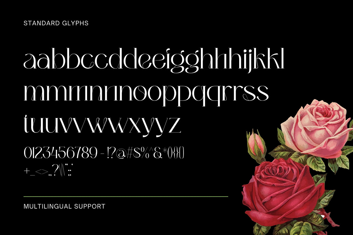 Bumerang - Display Serif, a Serif Font by Nirmana Visual (Photo 11 of 15)