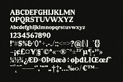 Regisha Modern Retro Serif Font, a Serif Font by Storytype Studio (Thumbnail 13 of 15)