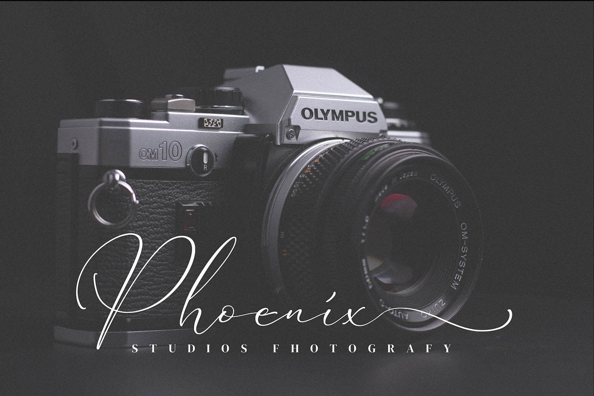 Qinarsi, a Script Font by Integritype Studio (Photo 3 of 15)