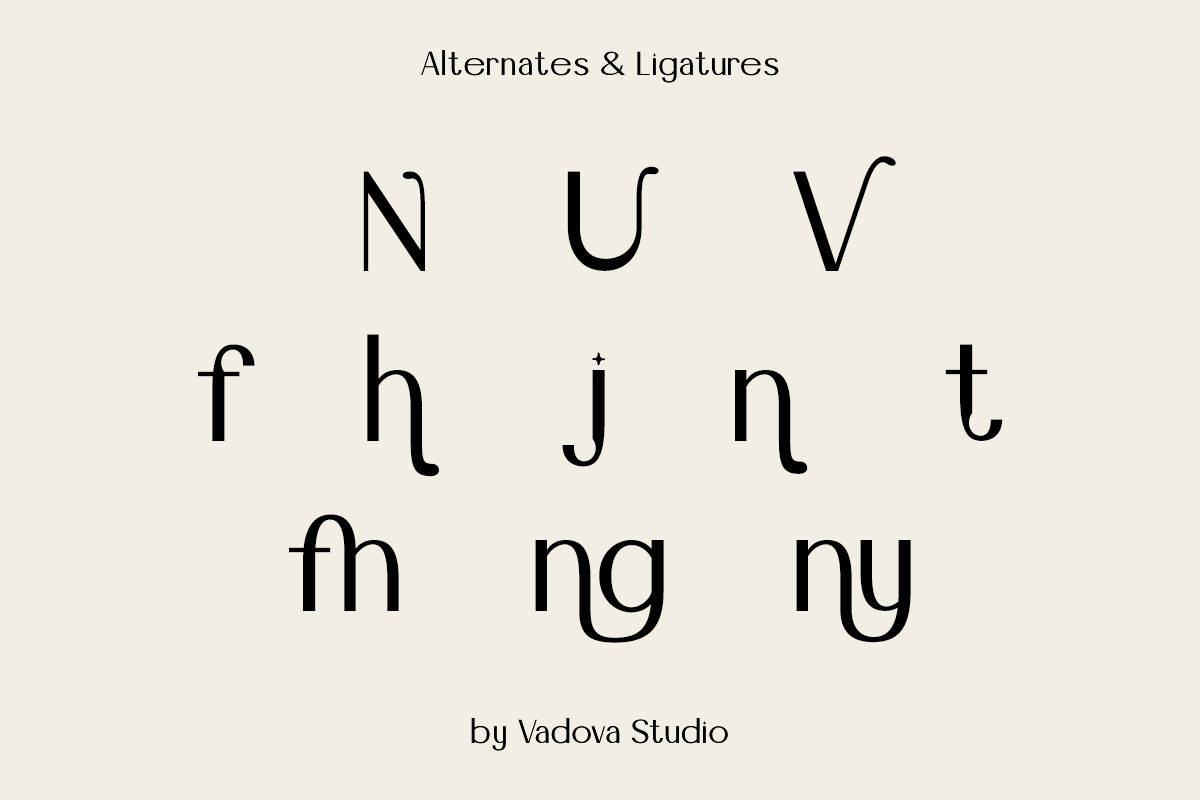 Danyelle Elegant Modern Sans Font, a Sans Serif Font by Vadovastd (Photo 5 of 8)