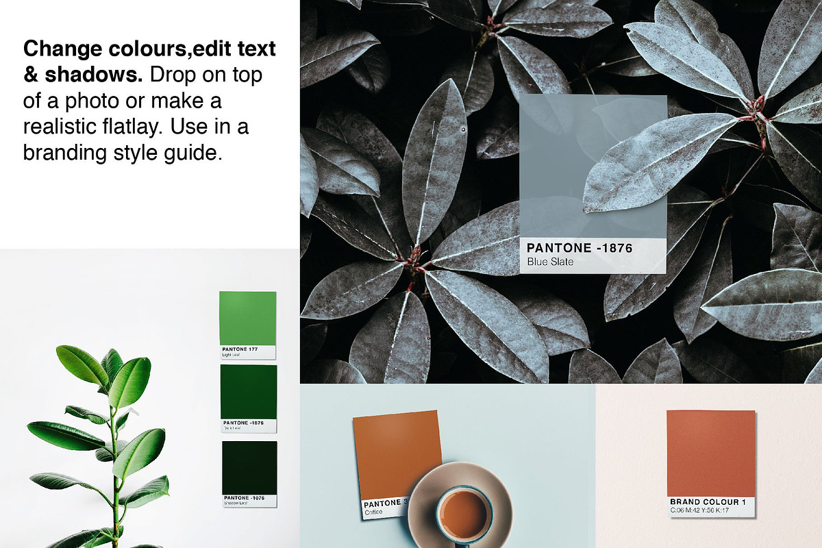 Pantone Colour Mockup Bundle, a Wearable Device Mockup by Tropical Type (Photo 7 of 11)