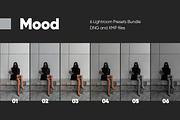 6 MOOD LIGHTROOM PRESETS, a Preset Add-On by Hot Buns Presets (Thumbnail 11 of 11)
