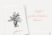 Greek Font Talonica, a Script Font by Greek fonts by nantia.co (Thumbnail 4 of 17)
