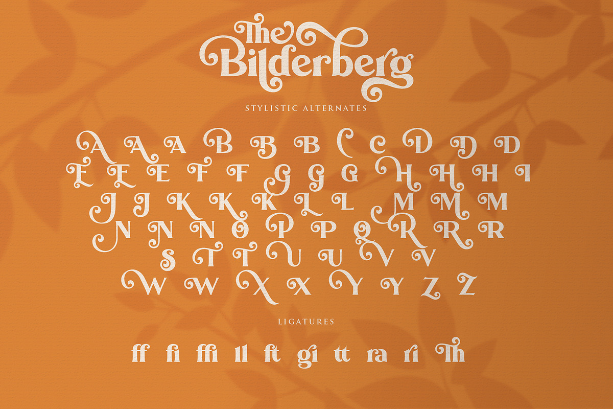 Bilderberg | Luxury Bold Serif, a Serif Font by Almeera Std (Photo 19 of 25)