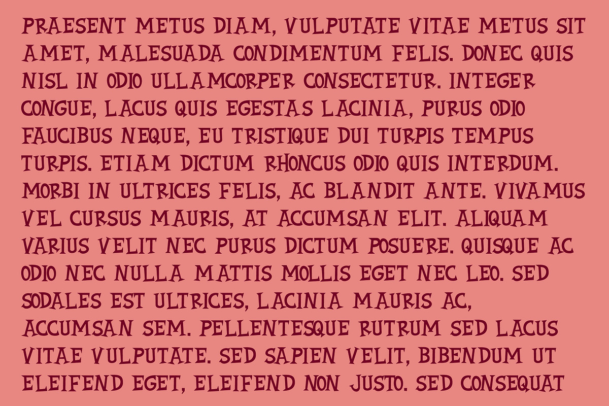 REINHARDT Font, a Serif Font by Brainware Graphic (Photo 4 of 5)