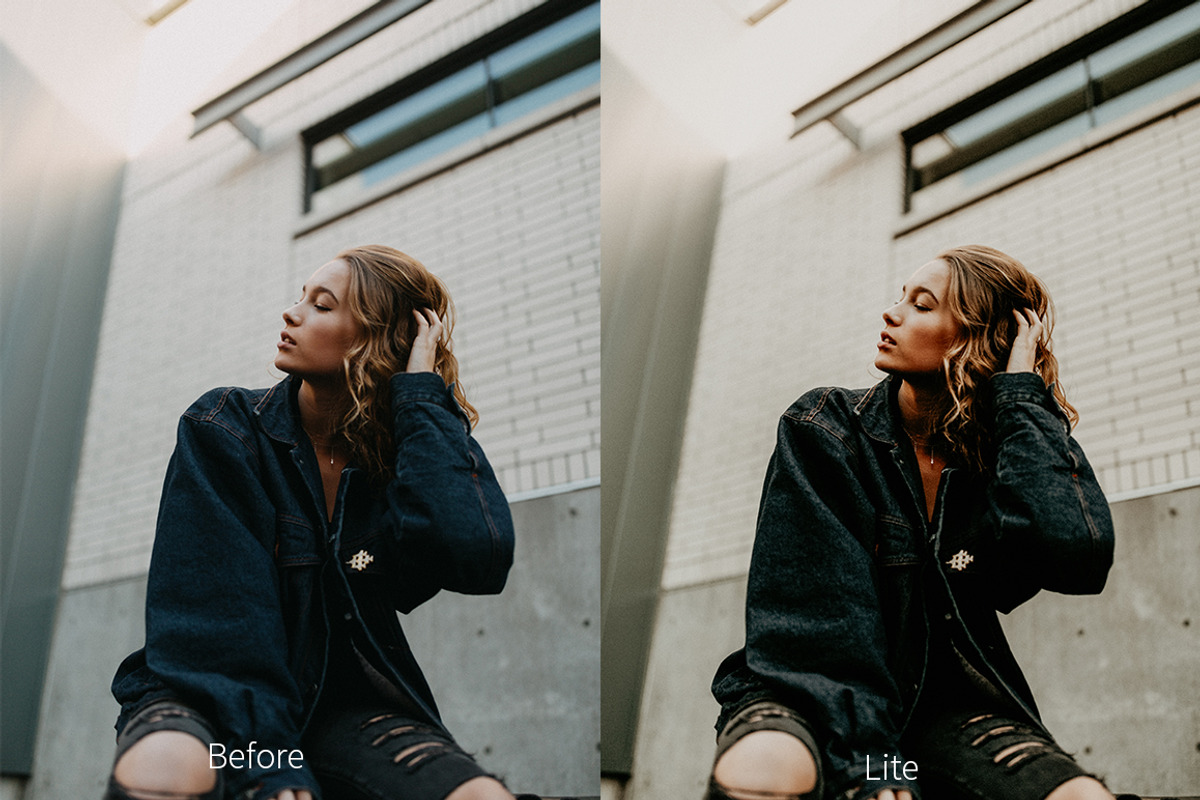 Moody Presets For Desktop+Mobile preview 8