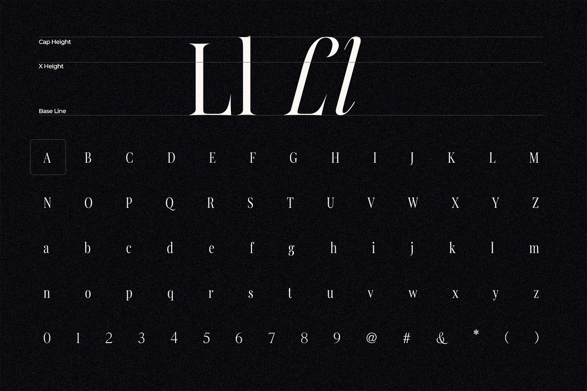 Licking Nineties Serif, a Serif Font by Designsation (Photo 10 of 10)